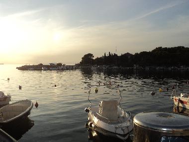 Apartamento de vacaciones en Pag , Mandre (Zadarska)Casa de vacaciones