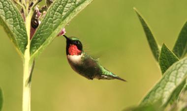 Casa de vacaciones en SOUTH PINETTE (Prince Edward Island)Casa de vacaciones