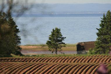 Casa de vacaciones en SOUTH PINETTE (Prince Edward Island)Casa de vacaciones