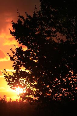 Casa de vacaciones en SOUTH PINETTE (Prince Edward Island)Casa de vacaciones