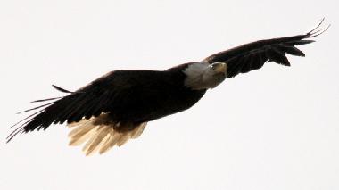 Casa de vacaciones en SOUTH PINETTE (Prince Edward Island)Casa de vacaciones