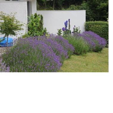 Apartamento de vacaciones en Eutin-Sielbeck (Holsteinische Schweiz)Casa de vacaciones