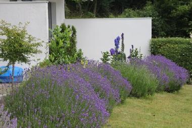 Apartamento de vacaciones en Malente (Holsteinische Schweiz)Casa de vacaciones
