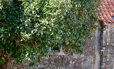 Apartamento de vacaciones en Dubrovnik (Croatia)Casa de vacaciones