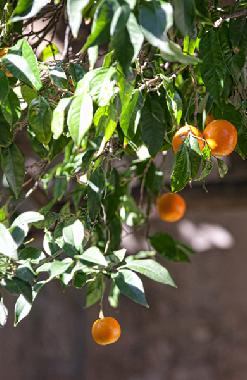 Apartamento de vacaciones en Dubrovnik (Croatia)Casa de vacaciones