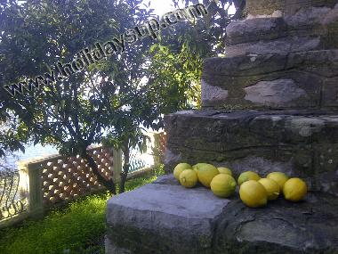 Villa en Sorrento (Napoli)Casa de vacaciones