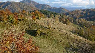 Casa de vacaciones en Viseu de Sus (Maramures)Casa de vacaciones