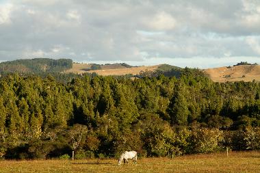 Casa de vacaciones en RD2 Oromahoe (Bay of Islands)Casa de vacaciones