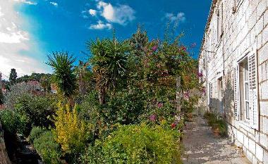 Apartamento de vacaciones en Dubrovnik (Dubrovacko-Neretvanska)Casa de vacaciones