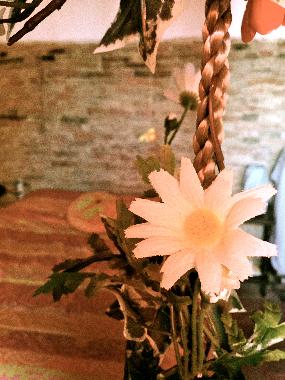 Apartamento de vacaciones en Legoli (Pisa)Casa de vacaciones