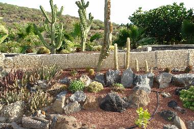 Apartamento de vacaciones en Los Menores (Teneriffa)Casa de vacaciones