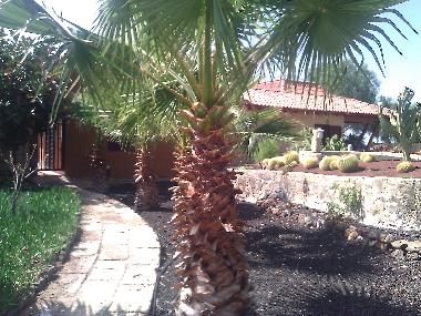 Casa de vacaciones en Los Menores (Teneriffa)Casa de vacaciones