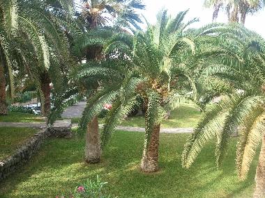 Apartamento de vacaciones en Callao Salvaje (Teneriffa)Casa de vacaciones