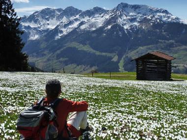 Apartamento de vacaciones en Wildschnau (Tiroler Unterland)Casa de vacaciones