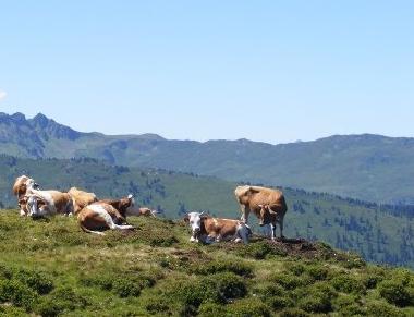 Apartamento de vacaciones en Wildschnau (Tiroler Unterland)Casa de vacaciones