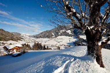 Apartamento de vacaciones en Wildschnau (Tiroler Unterland)Casa de vacaciones
