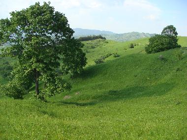 Chalet en Minzalesti (Buzau)Casa de vacaciones