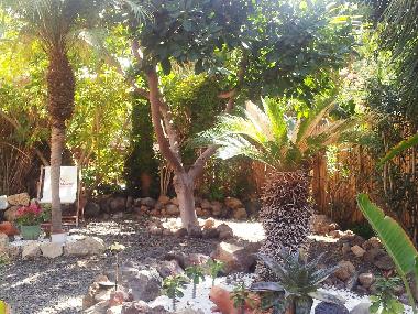 Apartamento de vacaciones en Guia de Isora (Teneriffa)Casa de vacaciones