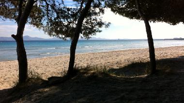 Chalet en Puerto de Alcdia (Mallorca)Casa de vacaciones