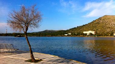 Lago a 30 metros (con paseo)