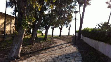 Acceso Playa a 200 metros