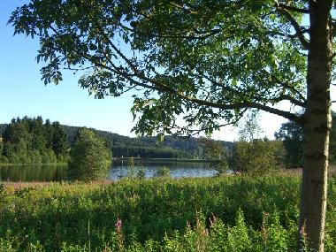 Apartamento de vacaciones en Clausthal-Zellerfeld (Harz)Casa de vacaciones