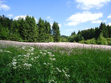 Apartamento de vacaciones en Clausthal-Zellerfeld (Harz)Casa de vacaciones