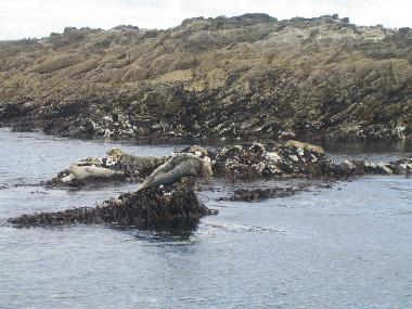 Casa de vacaciones en Tragumna, Skibbereen (Cork)Casa de vacaciones