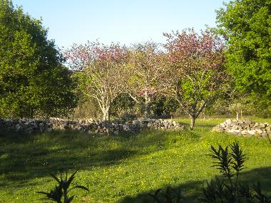 Casa de vacaciones en La Garde Adh�mar (Dr�me)Casa de vacaciones