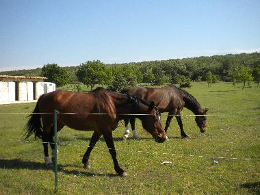 Casa de vacaciones en La Garde Adh�mar (Dr�me)Casa de vacaciones