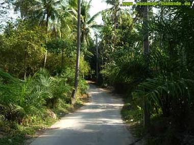 Villa en Koh Samui (Surat Thani)Casa de vacaciones