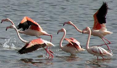 Apartamento de vacaciones en Pula (Cagliari)Casa de vacaciones