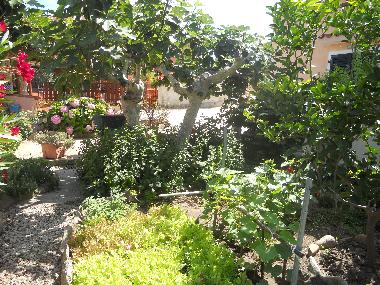 Cama y desayuno en LA MADDALENA (Olbia-Tempio)Casa de vacaciones