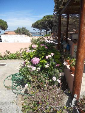 Cama y desayuno en LA MADDALENA (Olbia-Tempio)Casa de vacaciones