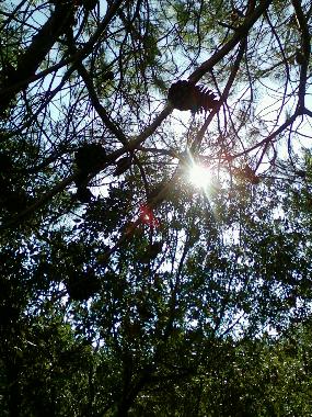 Apartamento de vacaciones en Zadar, Zaton (Zadarska)Casa de vacaciones