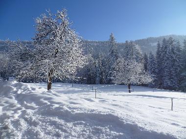 Casa de vacaciones en Riefensberg (Bludenz-Bregenzer Wald)Casa de vacaciones