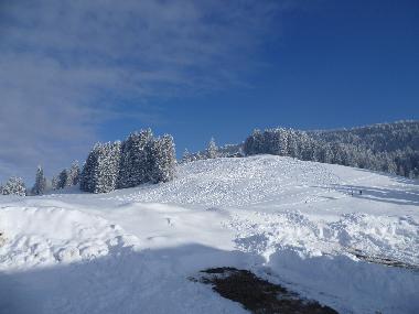 Casa de vacaciones en Riefensberg (Bludenz-Bregenzer Wald)Casa de vacaciones