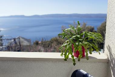 Apartamento de vacaciones en Marusici (Splitsko-Dalmatinska)Casa de vacaciones