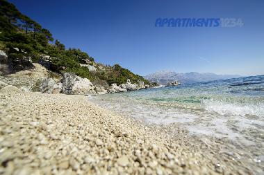 Apartamento de vacaciones en Marusici (Splitsko-Dalmatinska)Casa de vacaciones