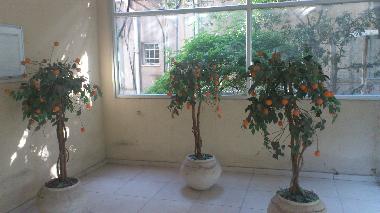 Apartamento de vacaciones en Tel-Aviv (Tel Aviv)Casa de vacaciones