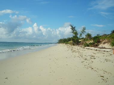 Casa de vacaciones en Msambweni (Coast)Casa de vacaciones