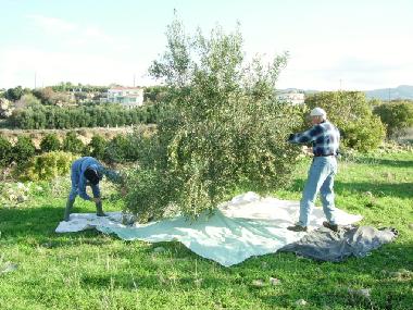 Apartamento de vacaciones en Kissonerga (Paphos)Casa de vacaciones