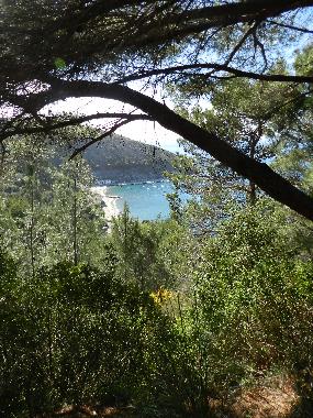 Hotel en Ascea (SA) (Salerno)Casa de vacaciones