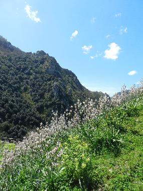 Hotel en Ascea (SA) (Salerno)Casa de vacaciones