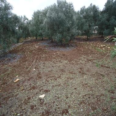 Casa de vacaciones en Ostuni (Brindisi)Casa de vacaciones