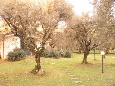 Apartamento de vacaciones en Pozzi di Seravezza (Lucca)Casa de vacaciones