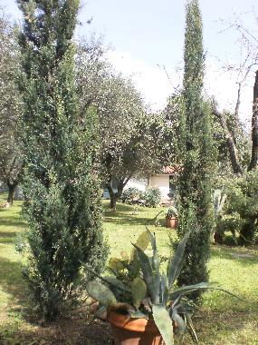 Apartamento de vacaciones en Pozzi di Seravezza (Lucca)Casa de vacaciones