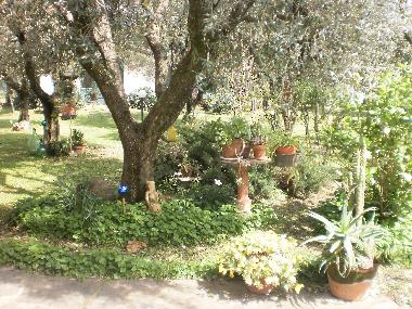 Apartamento de vacaciones en Pozzi di Seravezza (Lucca)Casa de vacaciones