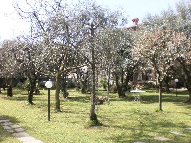 Apartamento de vacaciones en Pozzi di Seravezza (Lucca)Casa de vacaciones