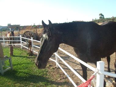 Casa de vacaciones en crotone (Crotone)Casa de vacaciones